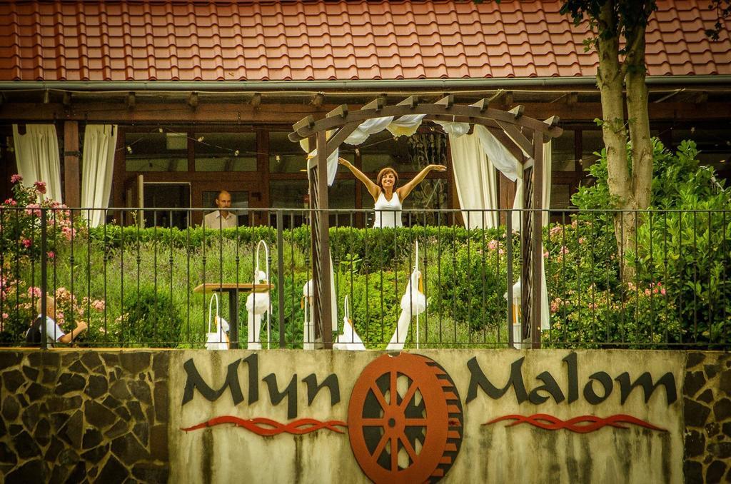 Mlyn Penzion & Wellness Radvan nad Dunajom ภายนอก รูปภาพ